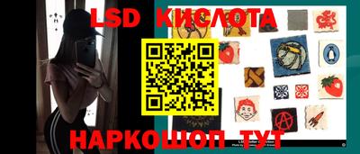 прущие крисы Славгород