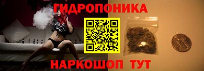 прущие крисы Славгород