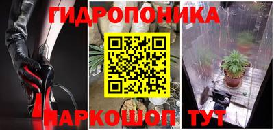 прущие крисы Славгород