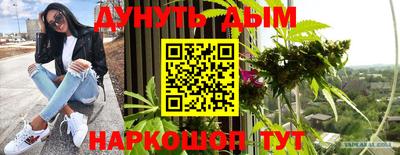прущие крисы Славгород