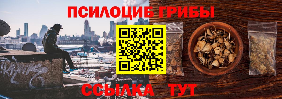 Можга  Галлюциногенные грибы Psilocybe  Галлюциногенные грибы Psilocybine cubensis  Вход с VPN 
